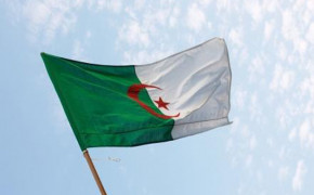 Flag of Algeria Wallpaper 86066