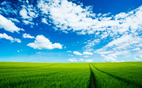 Sky Grass Desktop Wallpaper 08508