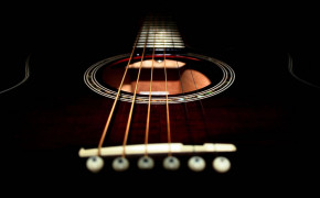 Acoustic Guitar 08215