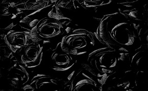 Gothic Black Rose Wallpaper 08808