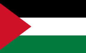 Palestine Flag Background HD Wallpapers 88613