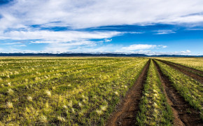 Mongolia Grassland Background Wallpaper 88407