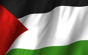 Palestine Flag Wallpaper 88626