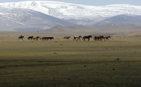 Mongolian Valley Wallpaper HD 88427