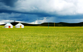 Mongolia Grassland Best HD Wallpaper 88408