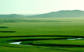 Mongolia Grassland HD Desktop Wallpaper 88411