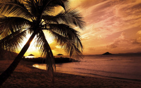 Night Beach Background Wallpapers 08894
