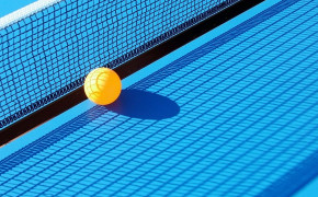 Ping Pong HD Wallpapers 08930