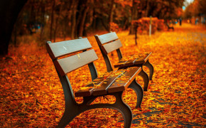 Bench Photography Wallpaper 97856