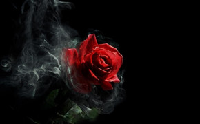 Gothic Rose Background Wallpaper 08815