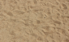 Sand Texture Wallpaper 08995