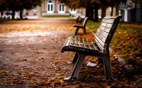 Bench Photography Widescreen Wallpapers 97857