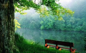 Bench Nature HD Wallpapers 97844