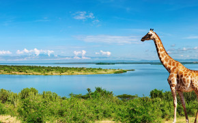 Uganda Nature Background Wallpaper 94256