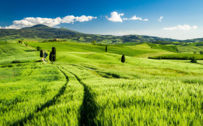 Tuscan Countryside Nature Wallpaper 94220