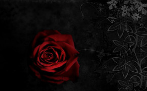 Gothic Rose Wallpaper HD 08822
