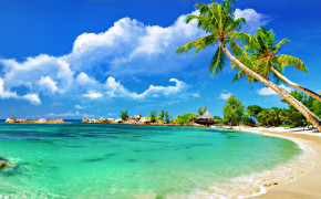 Tropical Beach Desktop Wallpaper 09076