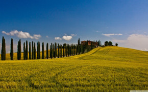 Tuscan Countryside Nature Desktop Wallpaper 94213