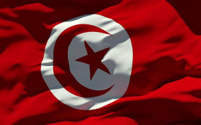 Tunisia Flag Best Wallpaper 94112
