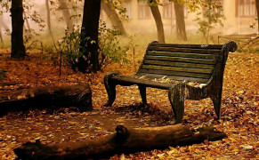 Bench Nature Background Wallpaper 97836