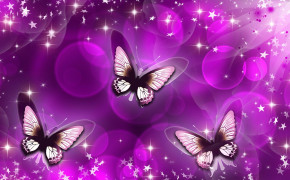 Purple Butterfly High Definition Wallpaper 09326