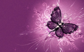Purple Butterfly Desktop Wallpaper 09322