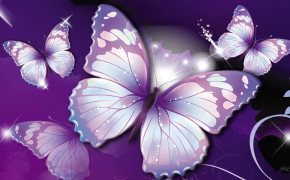 Purple Butterfly Best Wallpaper 09321