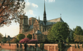 Notre Dame Cathedral Tourism Desktop Wallpaper 92519
