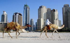 United Arab Emirates Marina Wallpaper HD 94327