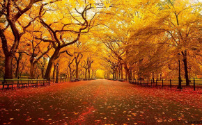 Central Park HD Desktop Wallpaper 99575