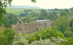 Bolton Priory Nature Best Wallpaper 98281