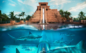 Atlantis Paradise Island High Definition Wallpaper 97207