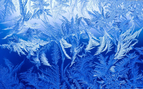 Frost Art Best Wallpaper 101443