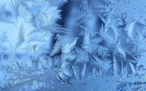 Frost High Definition Wallpaper 101439