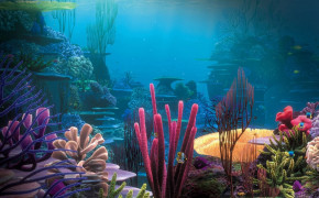 Abstract Coral Reef Design Desktop Wallpaper 099852