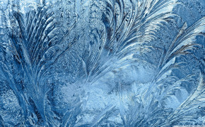 Frost Widescreen Wallpapers 101441