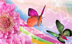 Rainbow Butterfly Wallpaper HD 09663