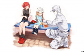 Cells At Work Manga Series Background Wallpapers 103462