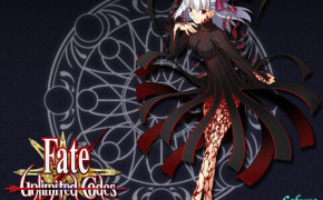 Fate Unlimited Codes High Definition Wallpaper 109269